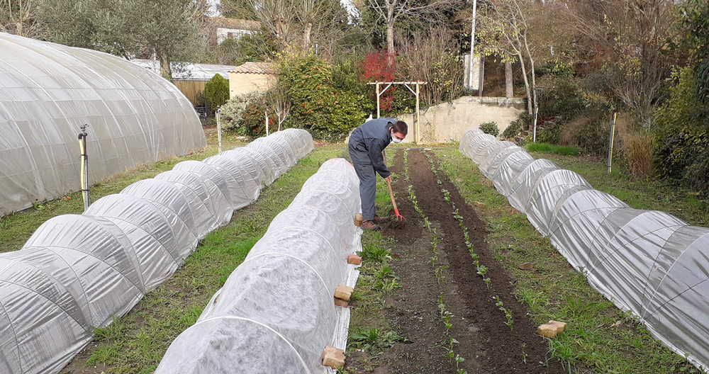 Bac pro horticulture