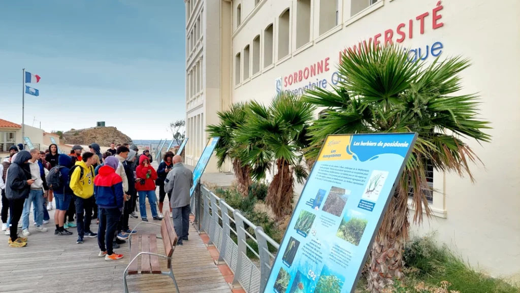 voyage d'études, protection du milieu littoral et sous-marin, BTS GPN