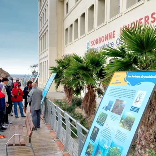 voyage d'études, protection du milieu littoral et sous-marin, BTS GPN