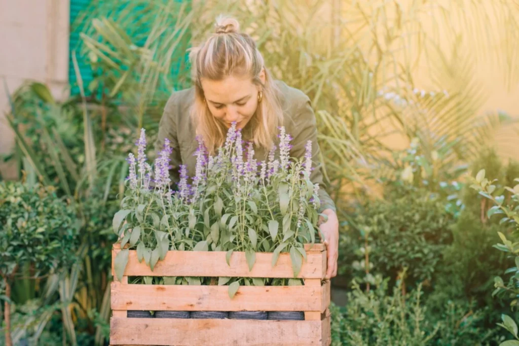 formation PPAM, plantes aromatiques et médicinales