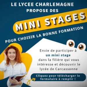 ministage, stage d'observation, orientation, afflenet