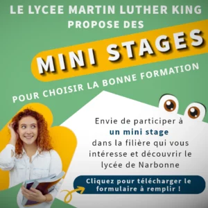 ministage, stage d'observation, orientation, afflenet