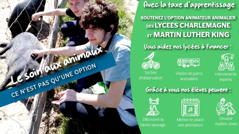 taxe d'apprentissage, soutenir l'enseignement agricole, lycée charlemagne, lycée martin luther king, innovation pédagogique, formation agricole
