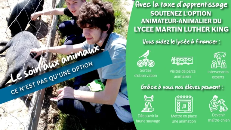 visuel TA mail animateur LPA