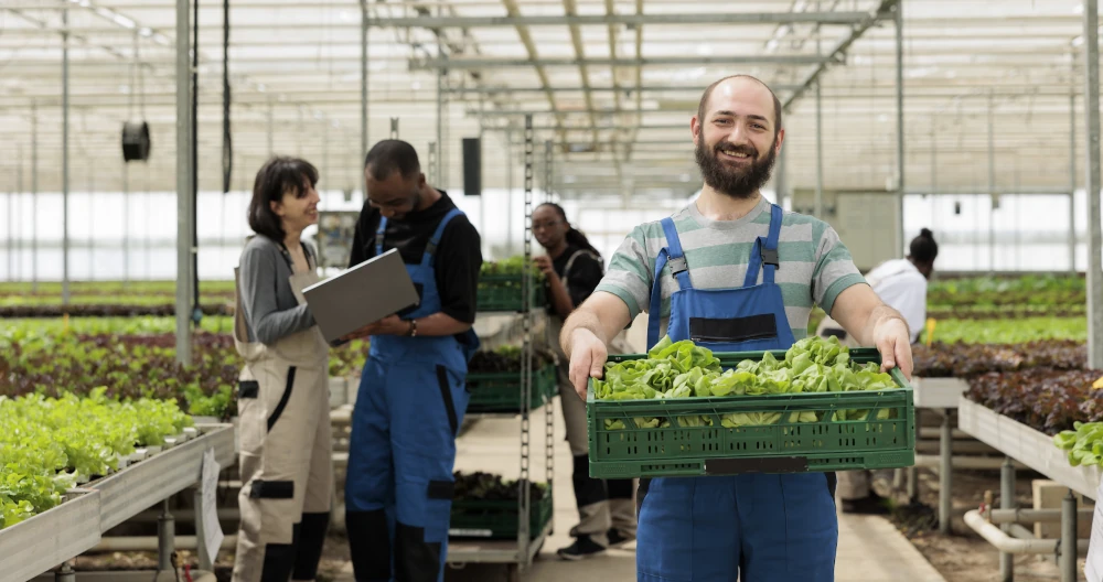 Licence PRO Métiers de l’entrepreneuriat parcours Manager et développer une TPE-PME, licence pro, licence professionnelle, licence par aprentissage