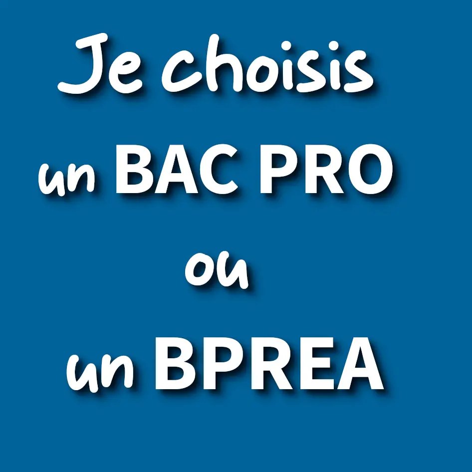 apprentissage, contrat d'apprentissage, capa, cap agricole, bp, bac pro, bts, bprea