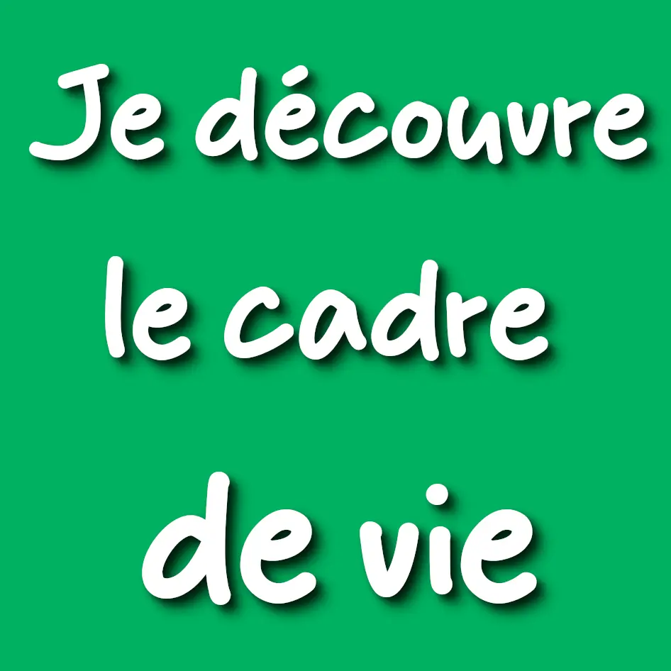 lycée carcassonne, lycée charlemagne, lycée narbonne, lycée martin luther king,