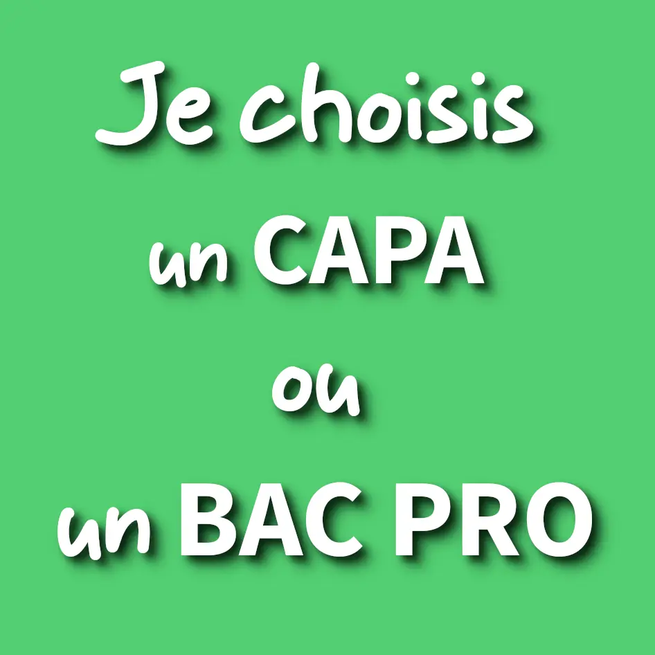 apprentissage, contrat d'apprentissage, capa, cap agricole, bp, bac pro, bts, bprea