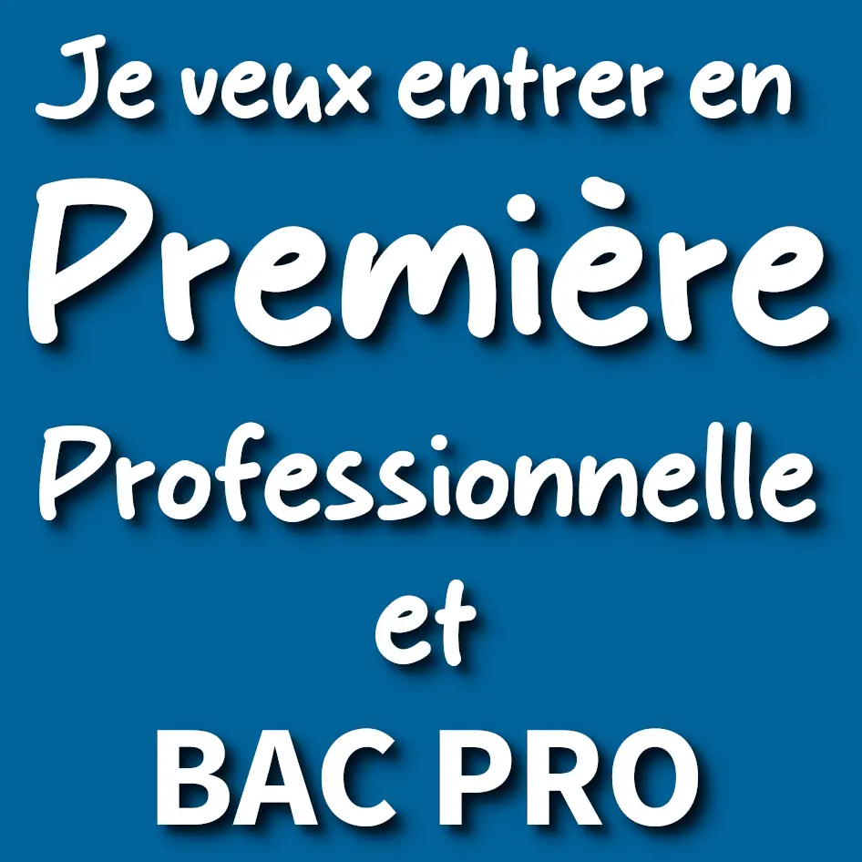orientation, après la 3eme, seconde générale, seconde professionnelle, entrer au lycée, lycée à carcassonne, lycée à narbonne