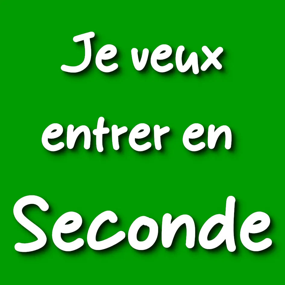 orientation, après la 3eme, seconde générale, seconde professionnelle, entrer au lycée, lycée à carcassonne, lycée à narbonne