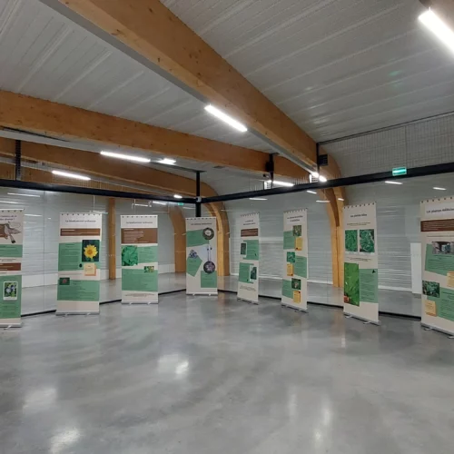 exposition carcassonne, exposition biodiversite, bts gpn, aeroport de Carcassonne, Lice de la cité, Cité de Carcassonne