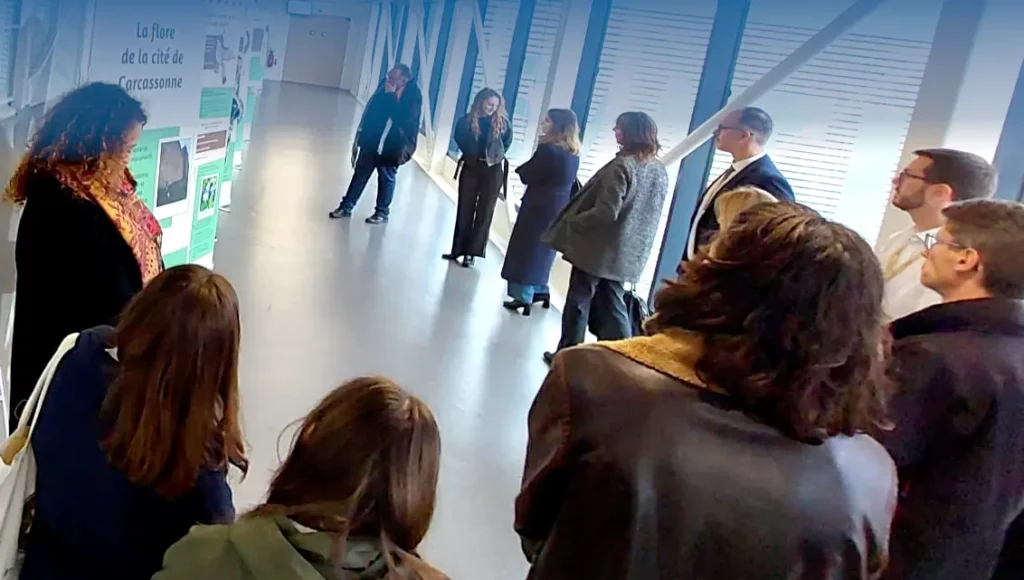 exposition, biodiversite, flore de la cite de carcassonne, inventaire naturaliste