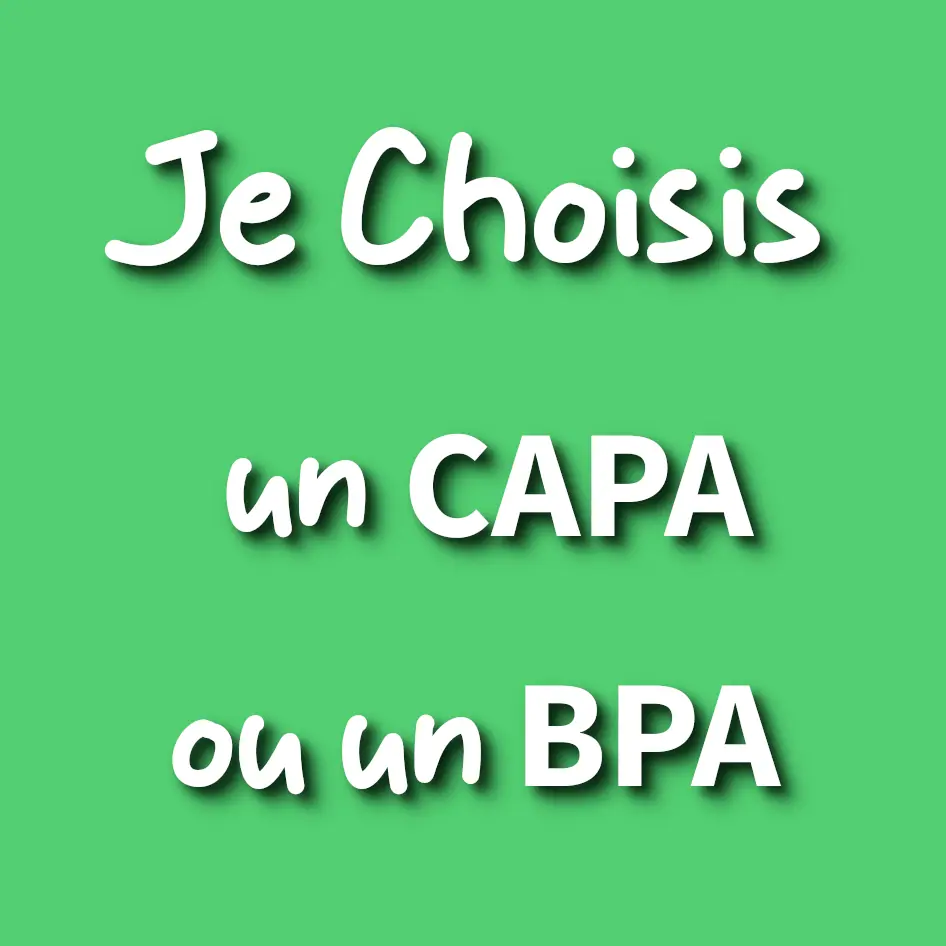 apprentissage, contrat d'apprentissage, capa, cap agricole, bp, bac pro, bts, bprea