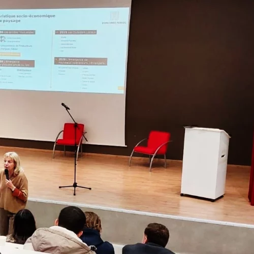 exports de vins du languedoc, filière viticole audoise, perspectives pour la viticulture en 2026