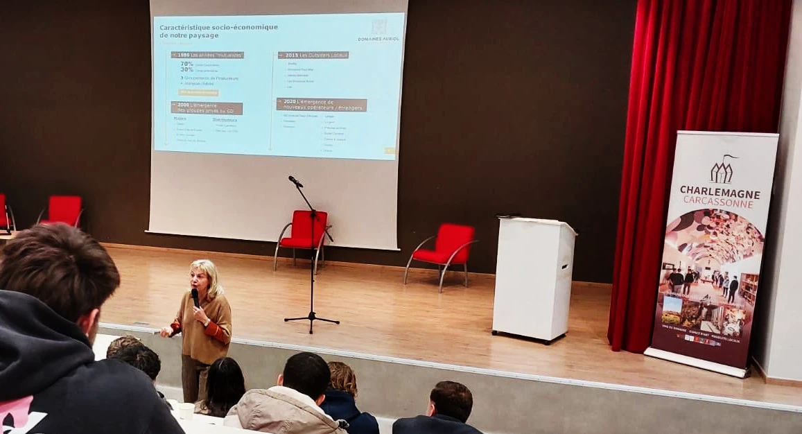 exports de vins du languedoc, filière viticole audoise, perspectives pour la viticulture en 2026