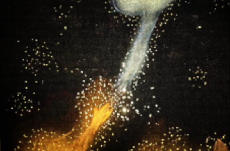 Vernissage de l’exposition des élèves de première SAPAT