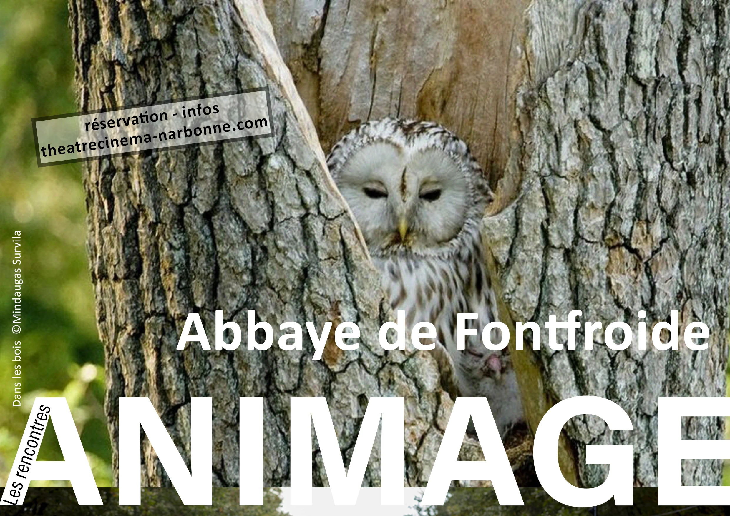 Les rencontres ANIMAGE – 10 et 11 avril 2026 à l'Abbaye de Fontfroide
