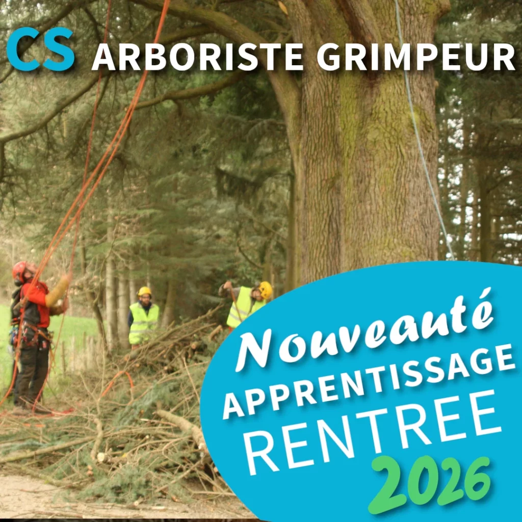 CS Arboriste grimpeur, elagage, bucheronnage