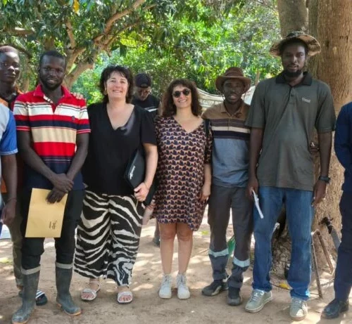 Carcassonne-Casamance, coopération internationale, formation, agroécotourisme