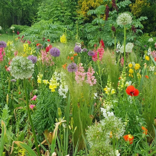 8eme rencontres naturalistes, nature