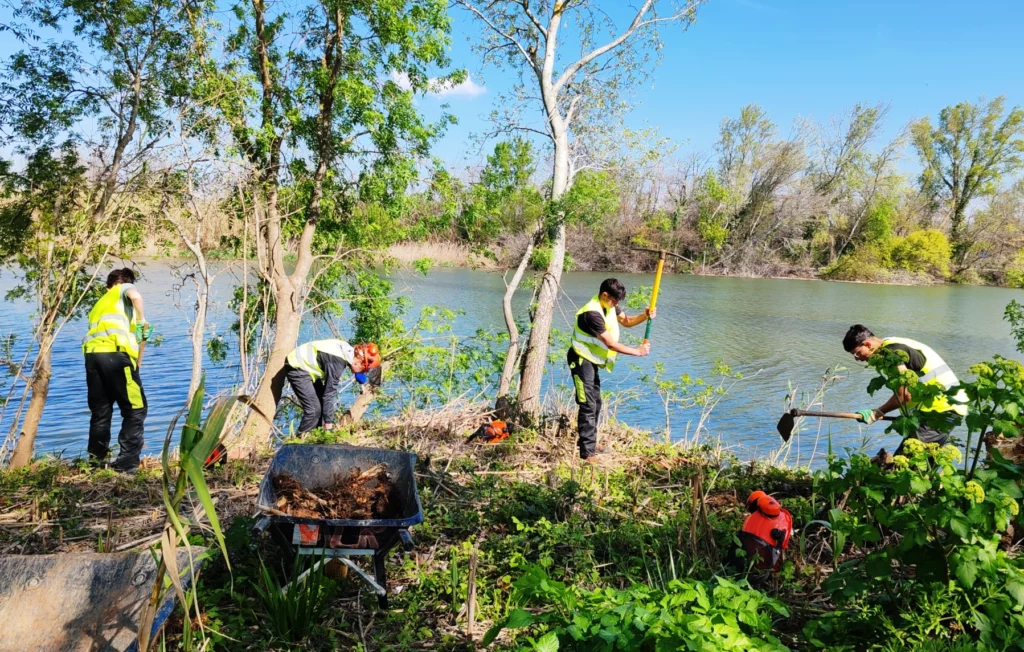 engagement citoyen pour la biodiversité au lycée Martin Luther King, chantier-école, apprentissage concret