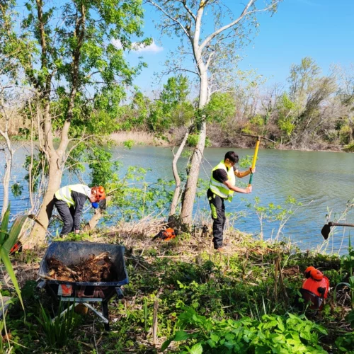 engagement citoyen pour la biodiversité au lycée Martin Luther King, chantier-école, apprentissage concret
