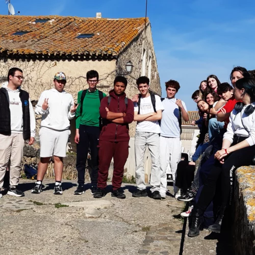 stage territoire au somail, bac stav LPA martin luther king