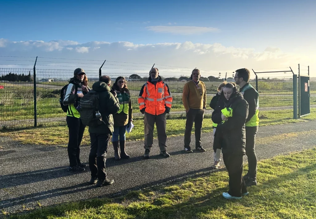 bts gpn en immersion professionnelle