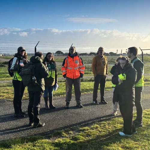 bts gpn en immersion professionnelle