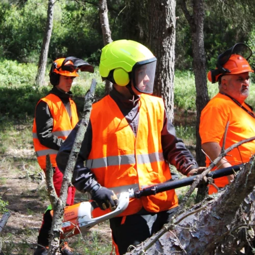 préservation des espace naturel, chantier pédagogique à Fleury d'Aude