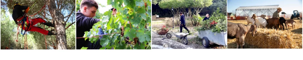 rentrée 2026, nouvelle formation agricole dans l'aude, apprentissage agricole dans l'aude, formation agricole pour adulte, se reconvertir en agriculture, quelle formation agricole dans l'aude