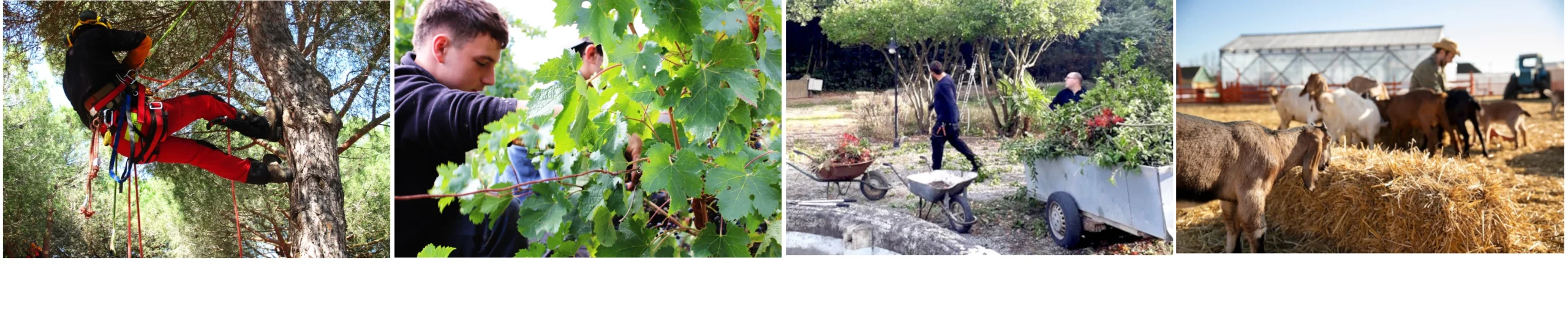 rentrée 2026, nouvelle formation agricole dans l'aude, apprentissage agricole dans l'aude, formation agricole pour adulte, se reconvertir en agriculture, quelle formation agricole dans l'aude