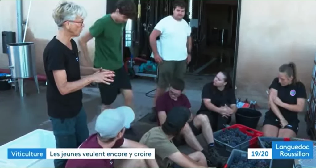 bts viticulture oenologie, formation aux nouvelles pratiques viticoles dans l'aude