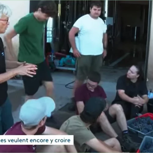 bts viticulture oenologie, formation aux nouvelles pratiques viticoles dans l'aude